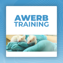 Animal Welfare and Ethical Review Body Training (AWERB Training) 1 April 2026, 09:00-13:00