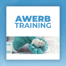 Animal Welfare and Ethical Review Body Training (AWERB Training)