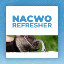 Named Animal Care and Welfare Officer Refresher (NACWO Refresher)