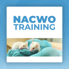 Named Animal Care and Welfare Officer (NACWO)